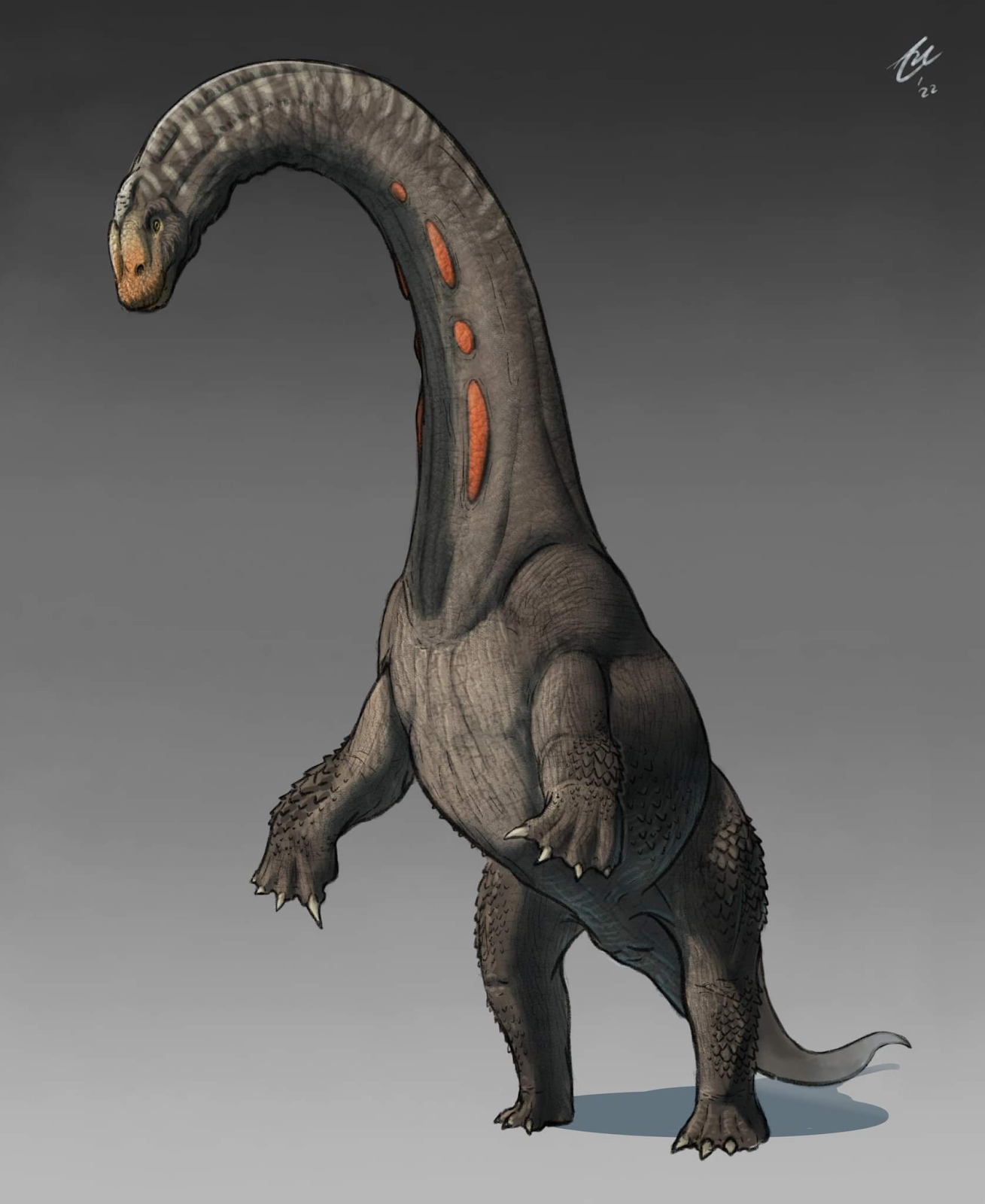 ASA: New Creature For Ragnarok (Gigantoraptor Regalimaia) | BUKANIER